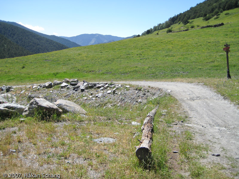 A typical small dirt-road in a typical landscape.